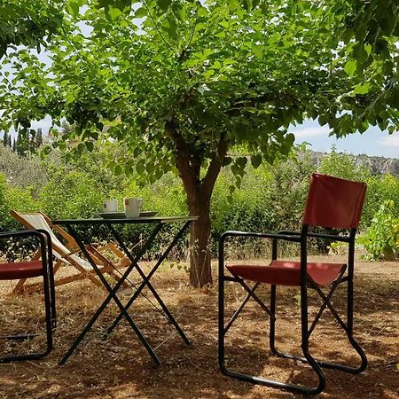 Ample Modern Country Home Nea Epidavros Exterior foto