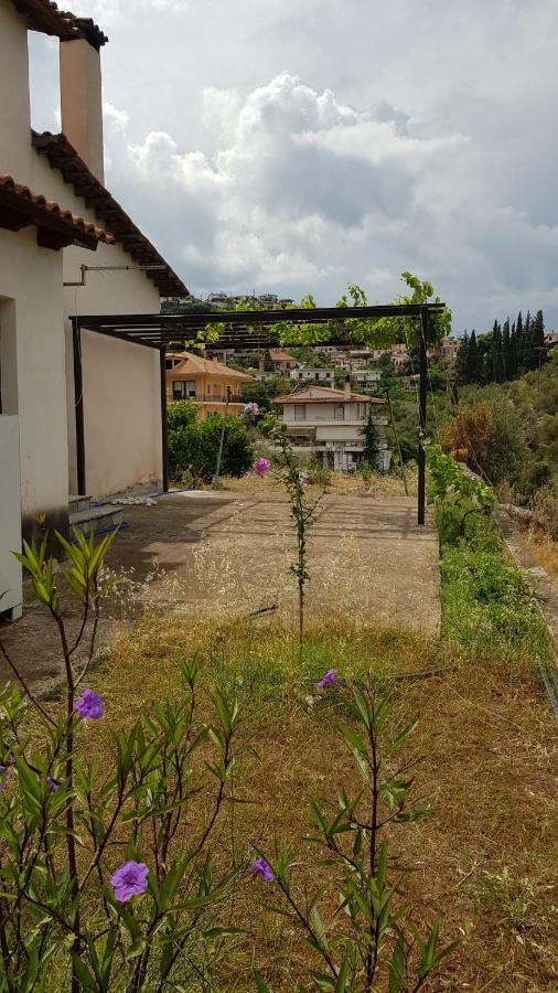 Ample Modern Country Home Nea Epidavros Exterior foto
