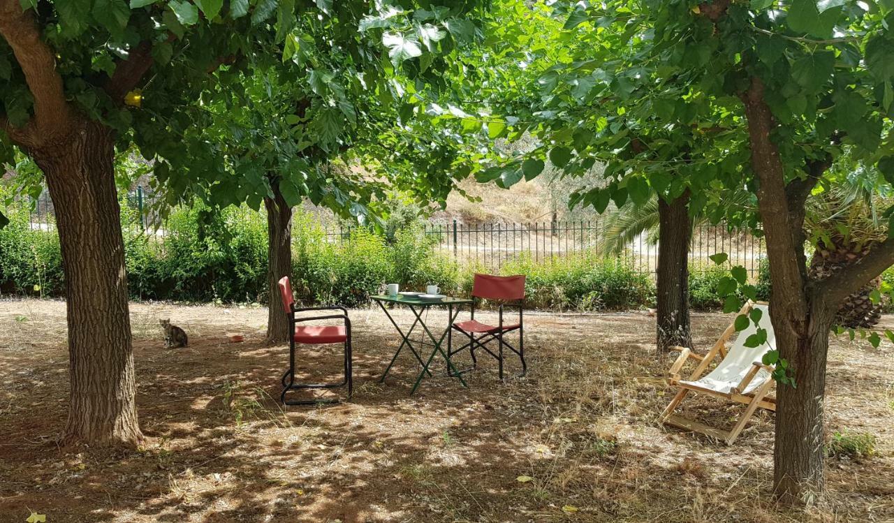 Ample Modern Country Home Nea Epidavros Exterior foto